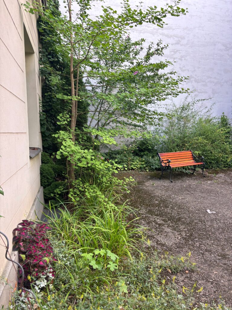 img 0514